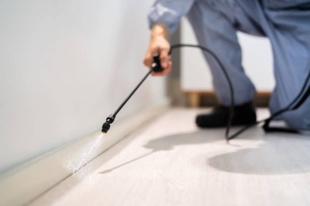Licensed Fumigation Services service in Holgate, OH - Nex Pest Control