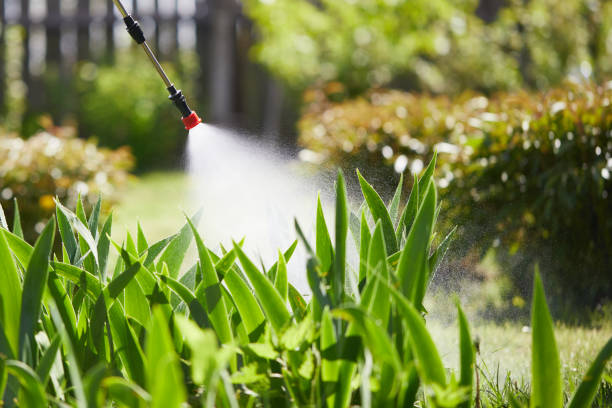 24/7 Emergency Fumigation Services experts in Holgate, OH