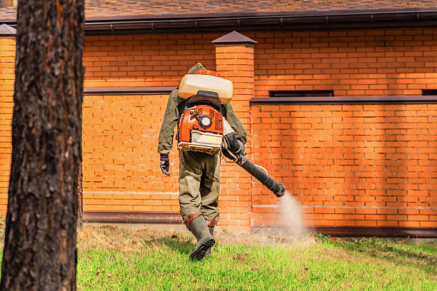 Top rated local Fumigation Services specialists in Holgate, OH